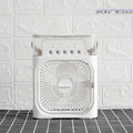 Cooling Fan With Ice